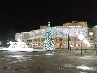 Новый Год в мини отеле ANA